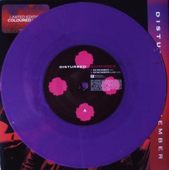 Disturbed - Remember / (Live) - 7"