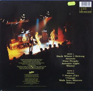 Dumptruck - Positively Dumptruck - LP