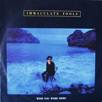 Immaculate Fools - Wish You Were Here / Pretty Price Now - 7"