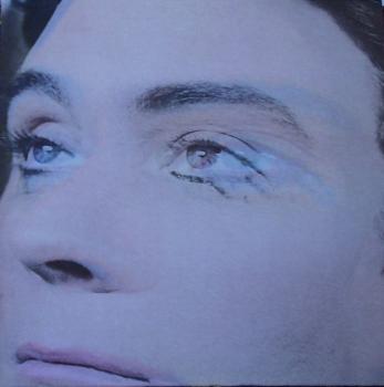 Ruby Suns, The	- Christopher - LP