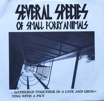 Several Species Of Small Furry Animals - Pain / Black Zone / +2 - 7"