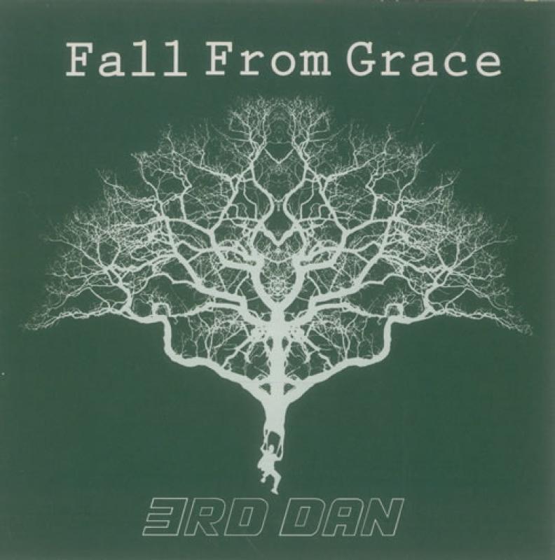 3rd Dan - Fall From Grace / Shoebox - 7"