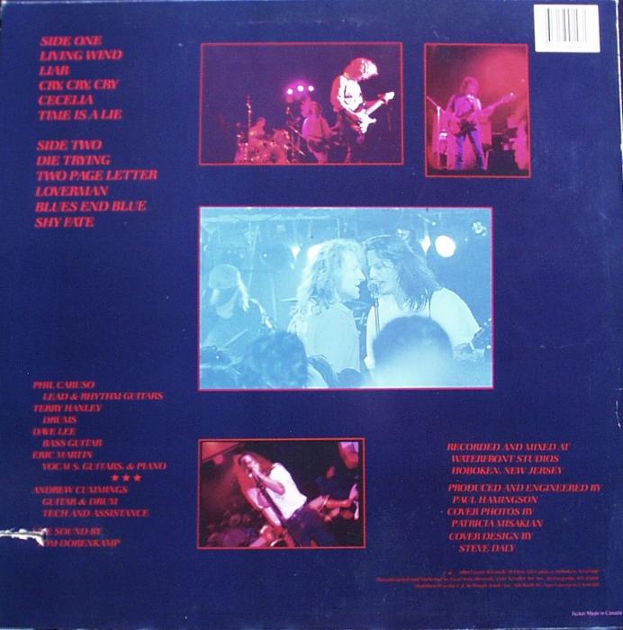 Neats, The - Blues End Blue - LP