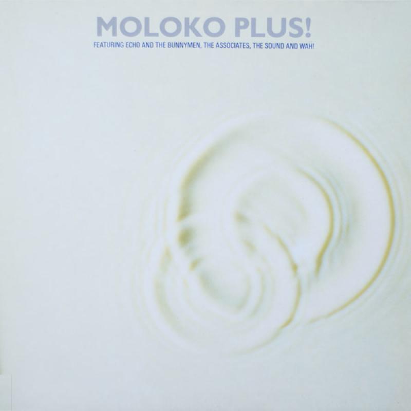 Various Artists - Moloko Plus! - LP
