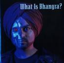 Various Artists - What Is Bhangra ? - CD